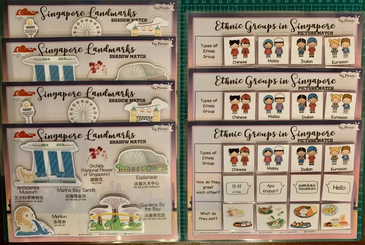 Educational flashcards about Singapore Landmarks and Ethnic Groups on a green background.