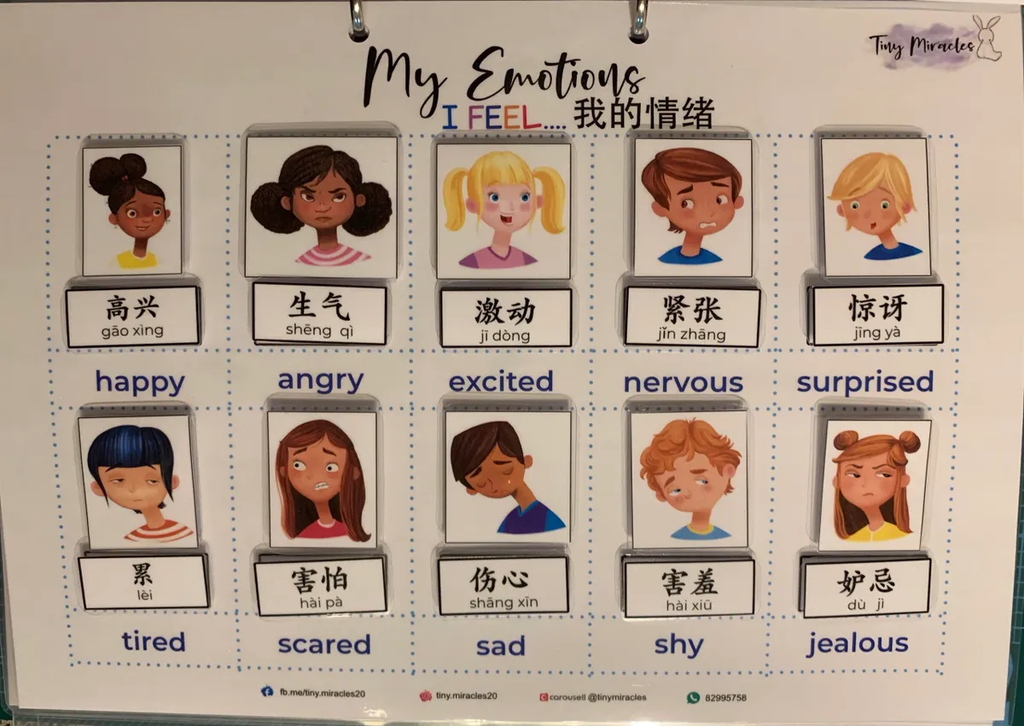 My Emotions Shadow Match (English & Chinese)