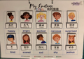 My Emotions Shadow Match (English & Chinese)