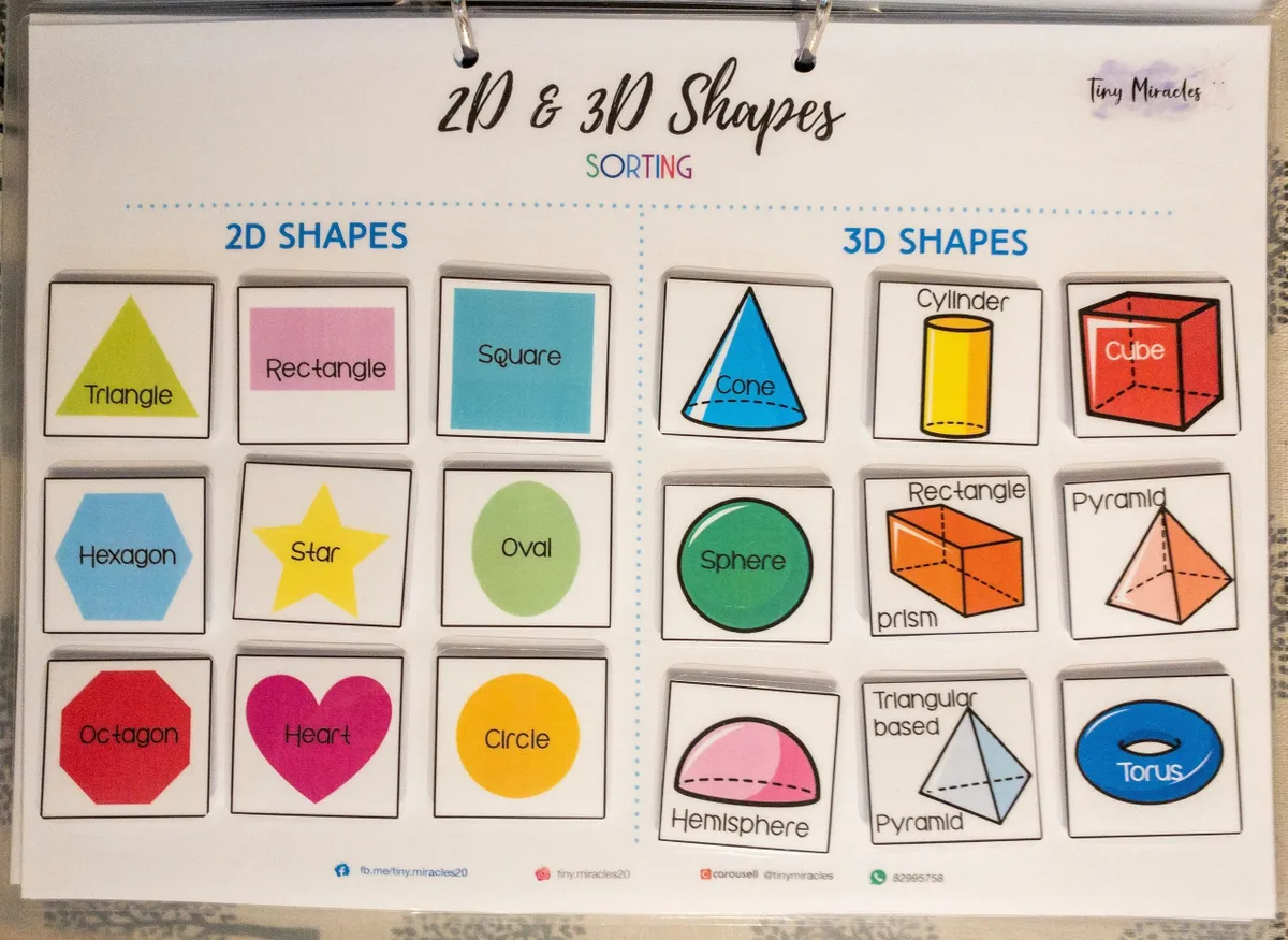 Math - 2D & 3D Shapes Sorting