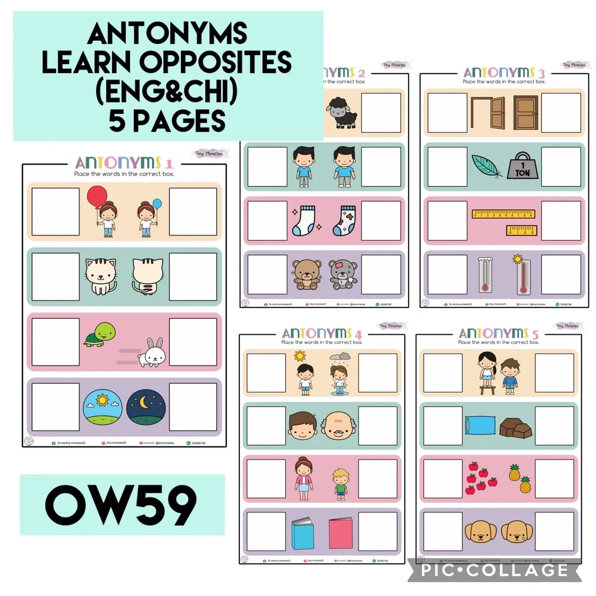 Antonyms - Learning Opposites (Eng & Chi) Activity Book