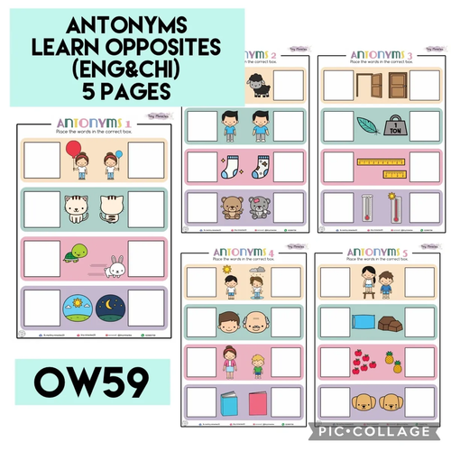 Antonyms - Learning Opposites (Eng & Chi) Activity Book