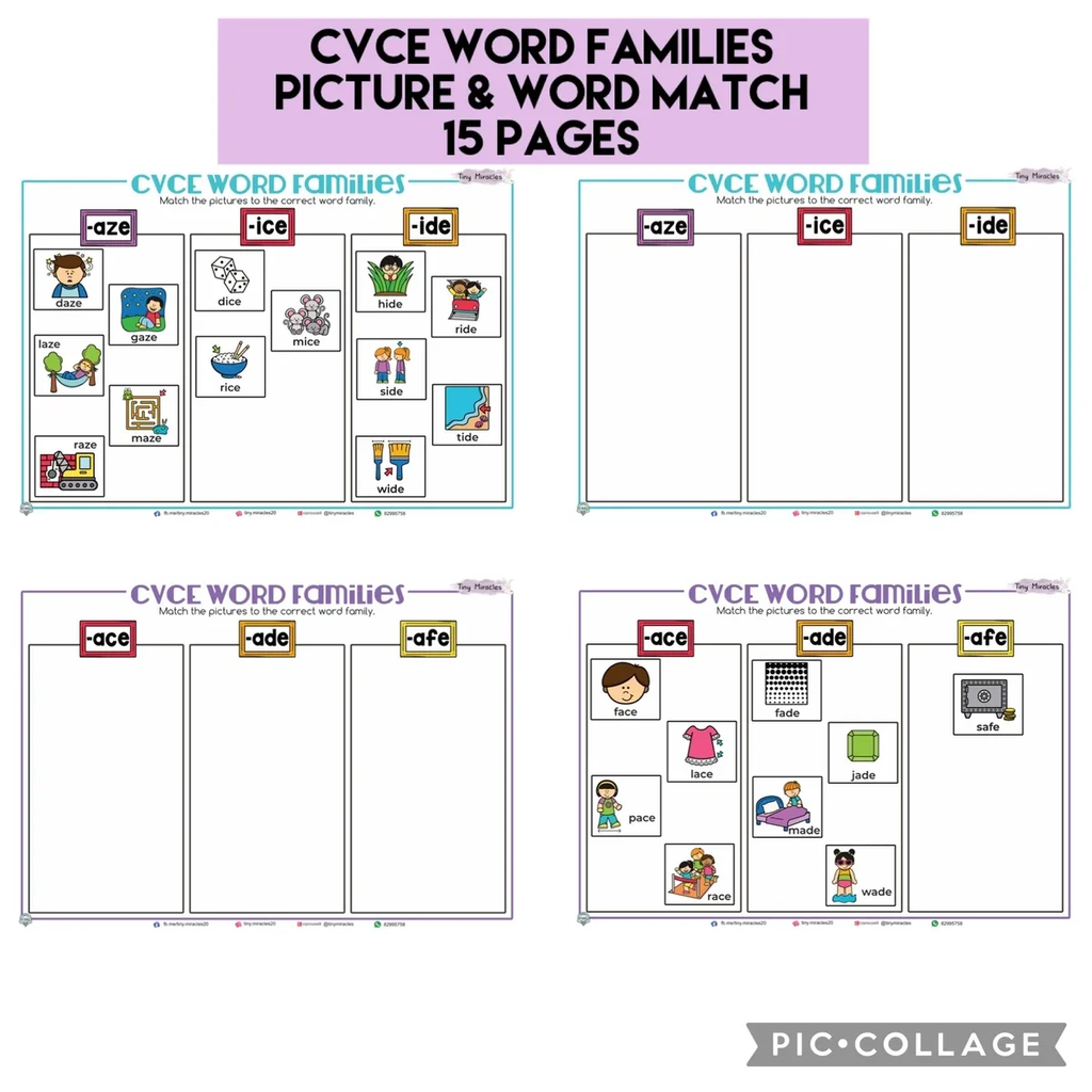 CVCe Word Families Picture and Word Match