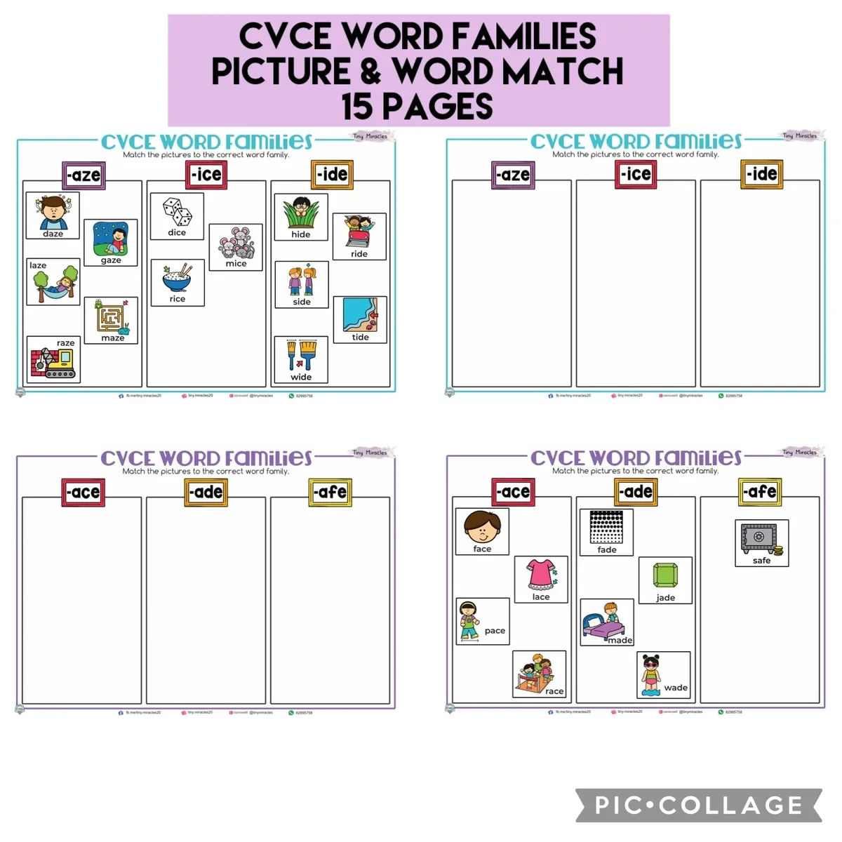 CVCe Word Families Picture and Word Match