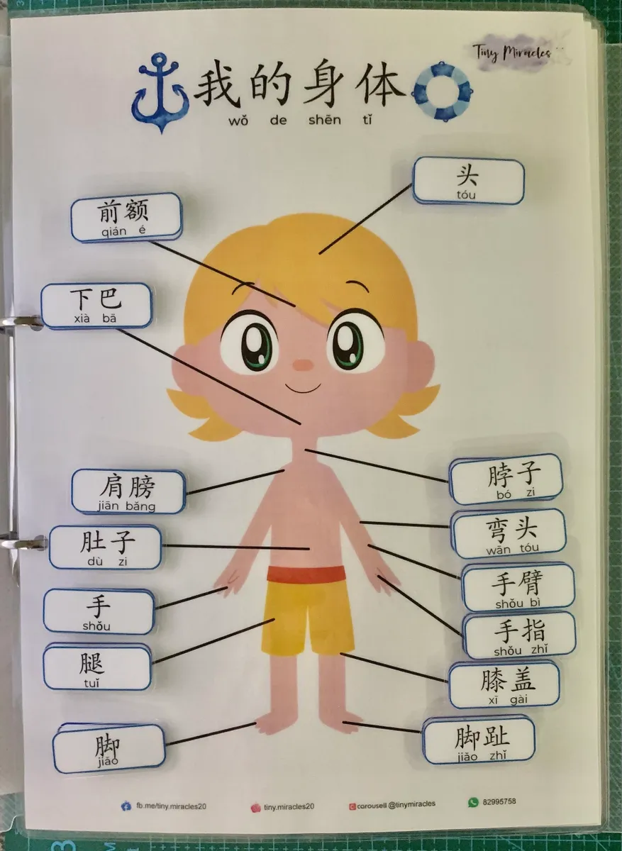 Children's book page with a cartoon boy and labeled parts of the body in Chinese