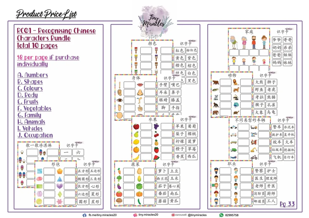 Recognising Chinese Characters by Word Matching | 汉语文学词匹配