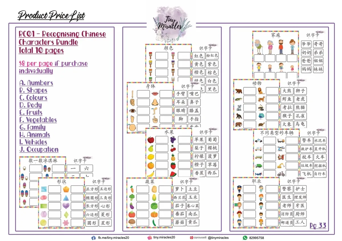 Recognising Chinese Characters by Word Matching | 汉语文学词匹配