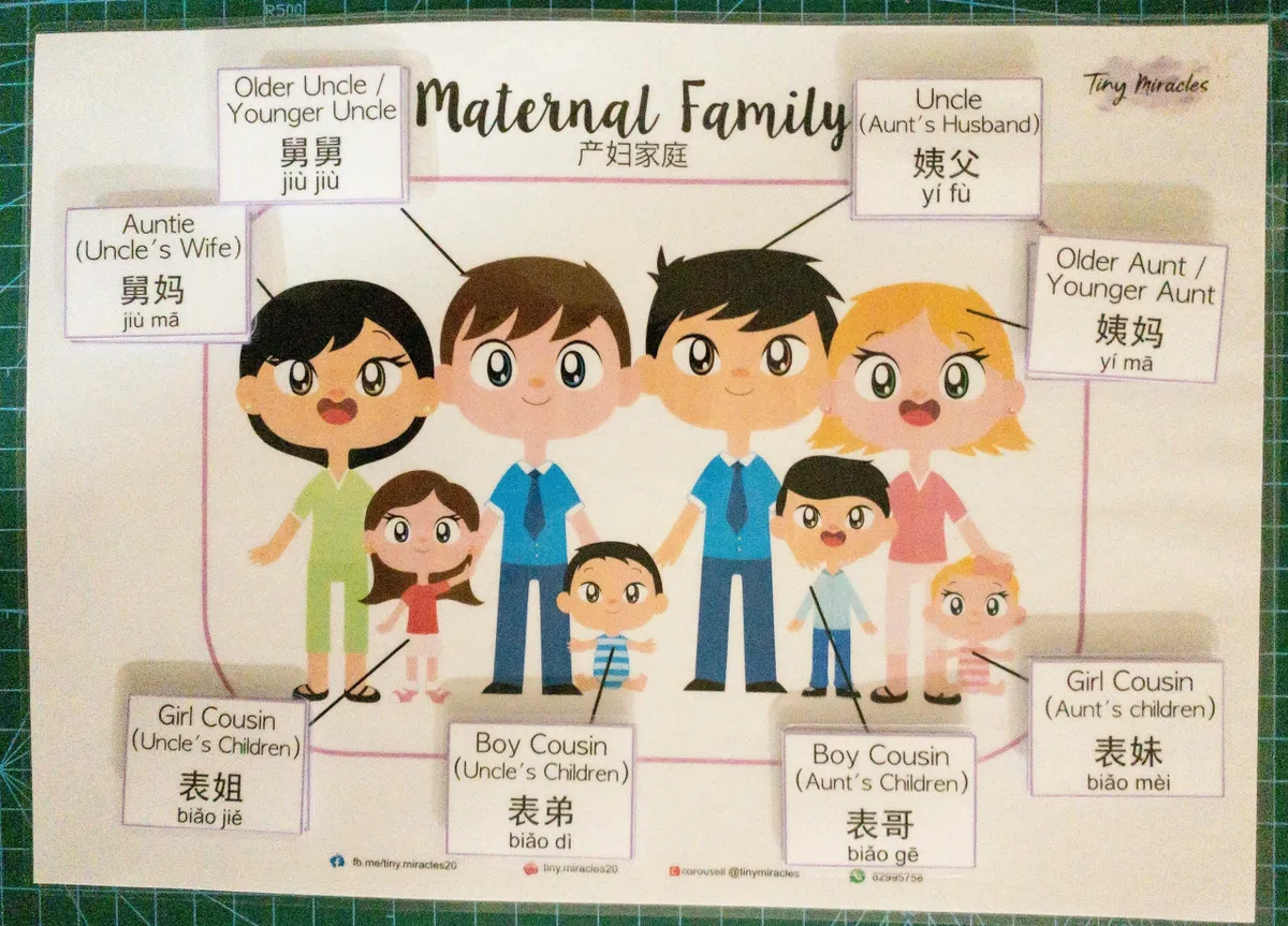 My Family / Paternal / Maternal (English & Chinese)