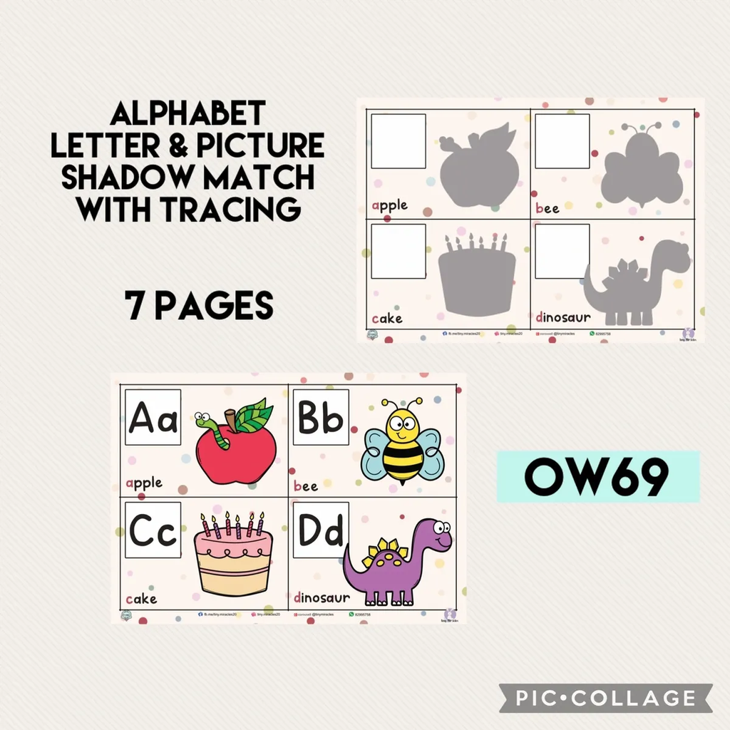 Alphabet Letter & Picture Shadow Match with Tracing (OW69)