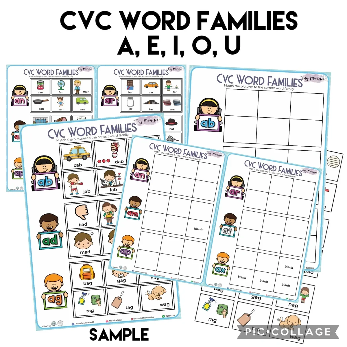 CVC Word Families Picture and Word Match