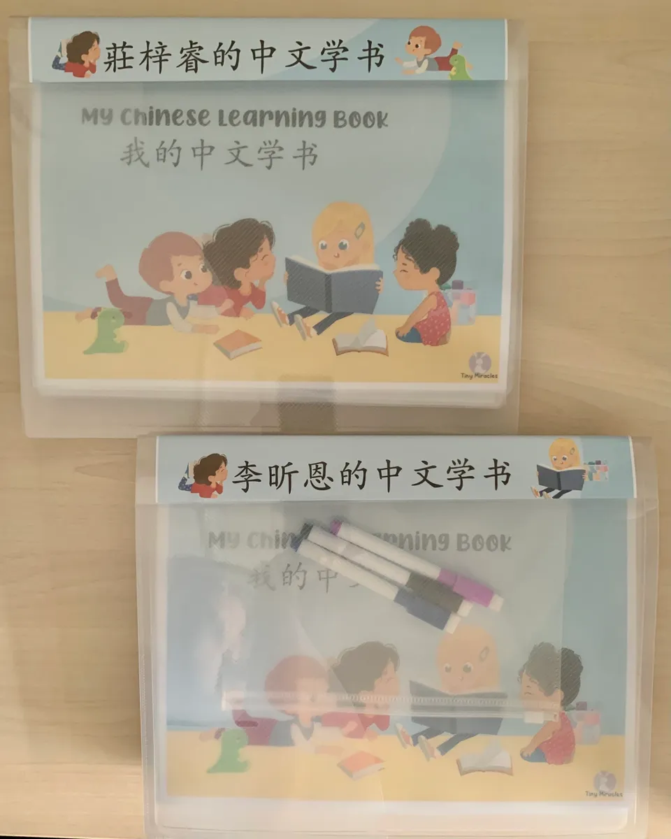Chinese learning books files