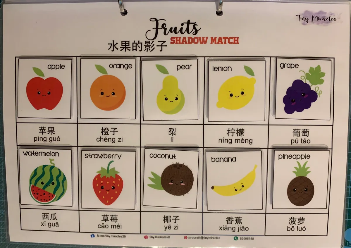 Fruits Shadow Match (English & Chinese)
