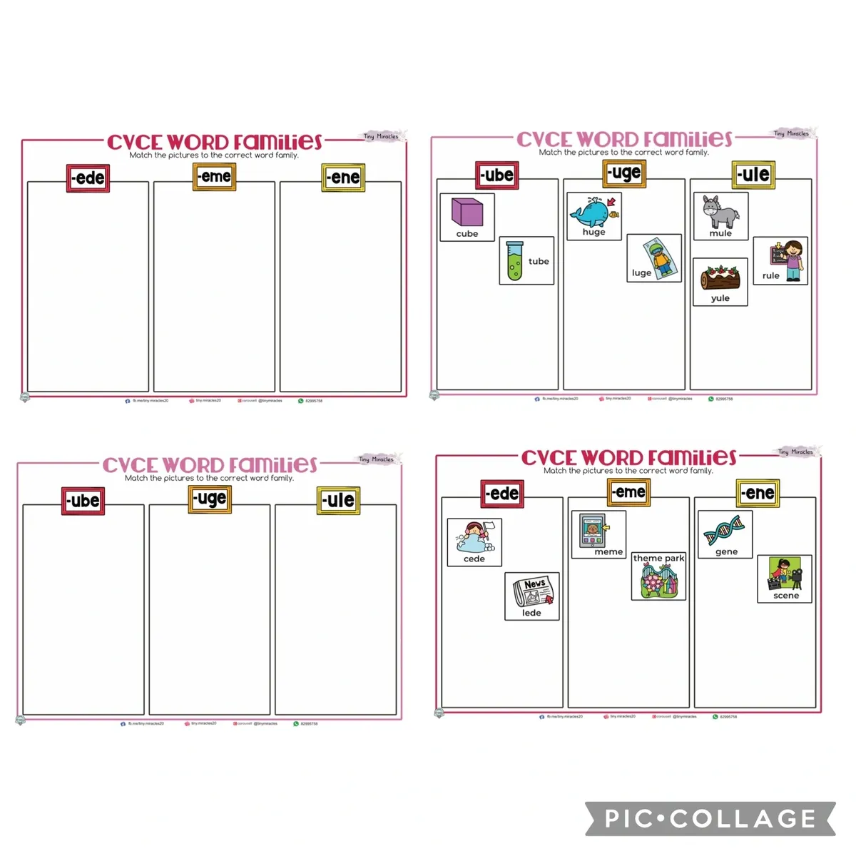 CVCe Word Families Picture and Word Match