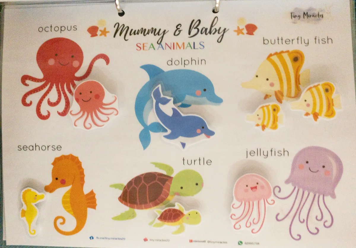 Set of sea animal stickers with labels on a white background