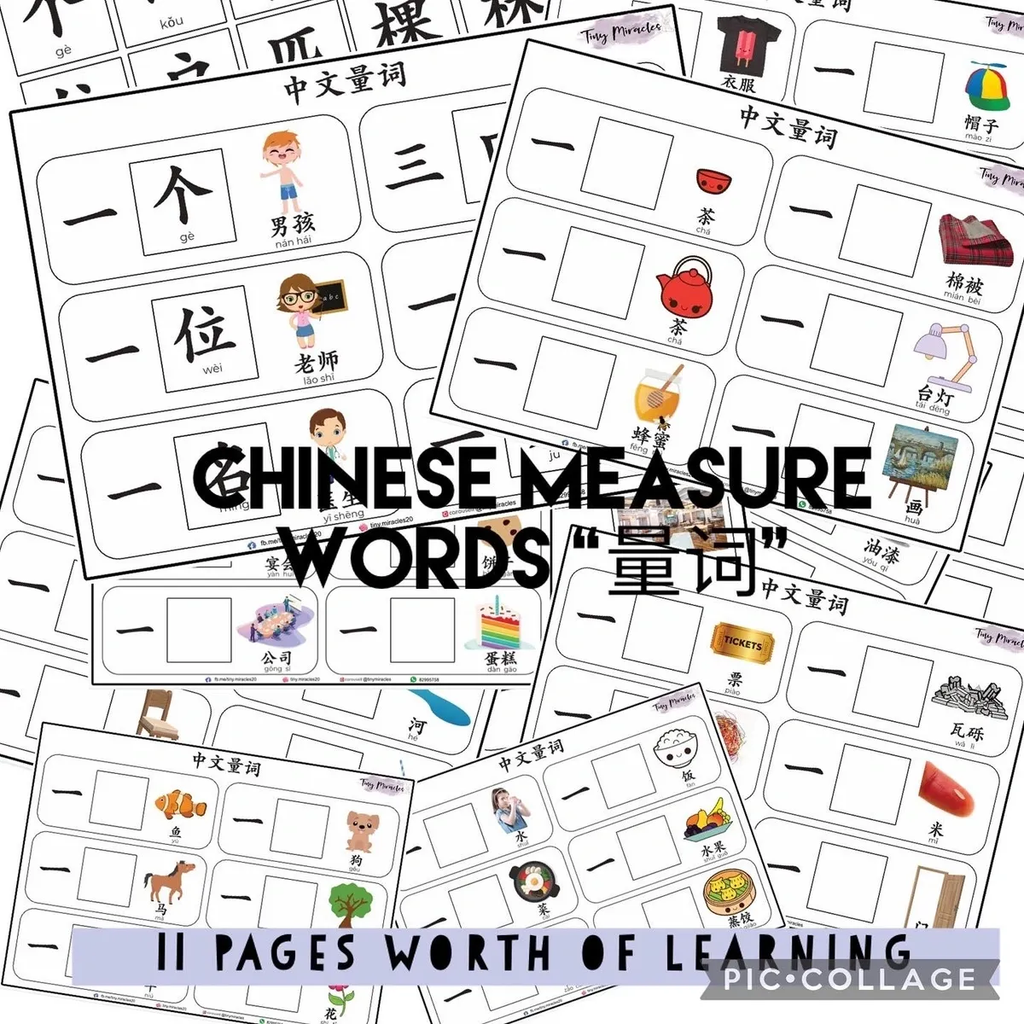 Chinese Measure Words 量词 Activity Book