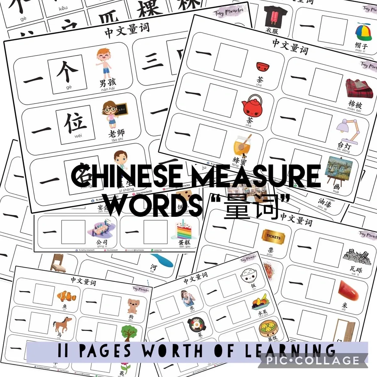 Chinese Measure Words 量词 Activity Book