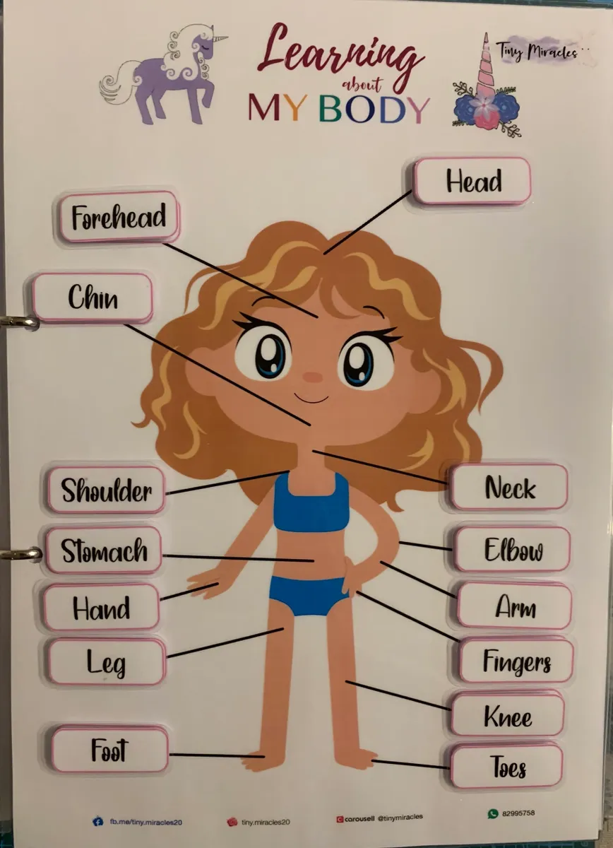 Educational chart for children showing parts of the body with labels.