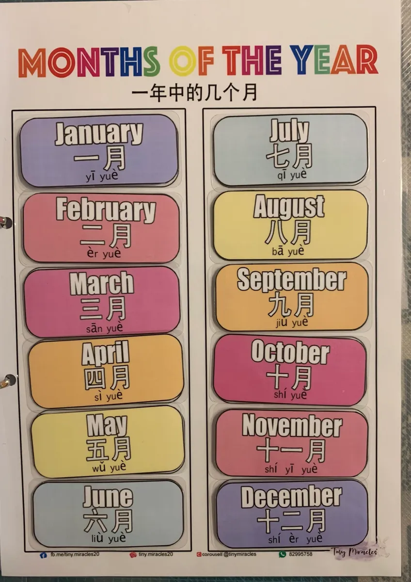 Months of the Year (English & Chinese)