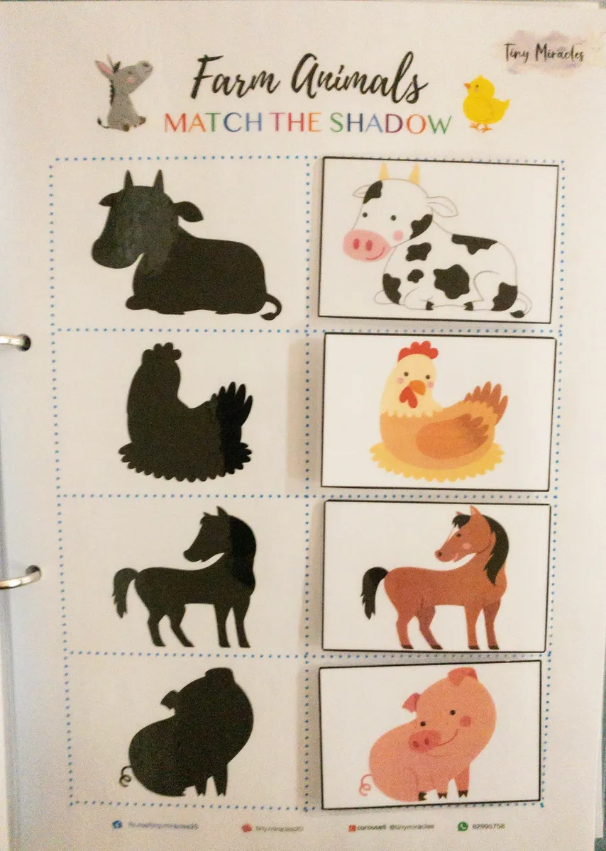 Educational farm animals matching game with silhouettes and illustrations on a white background.