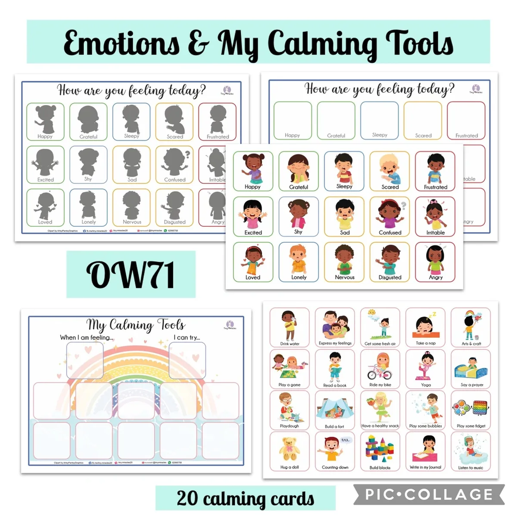 Emotions and Calming Tools worksheet with illustrations and text on a white background