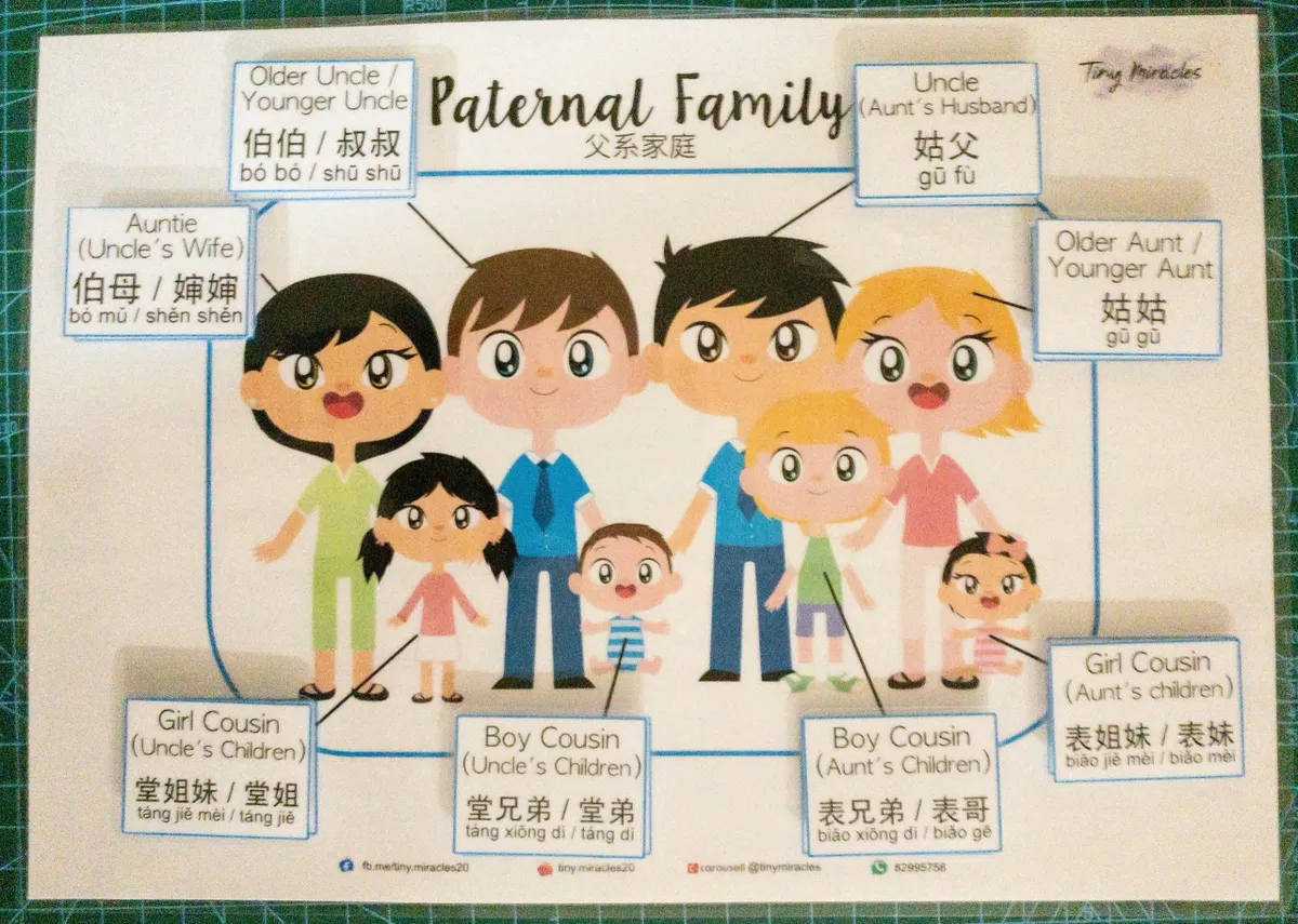 My Family / Paternal / Maternal (English & Chinese)
