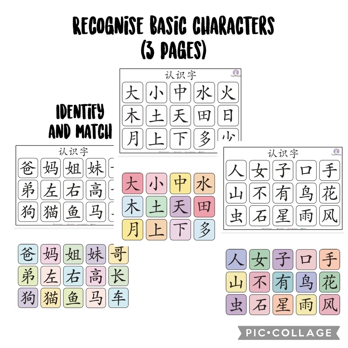 Educational worksheet with Chinese characters for identification and matching exercise.