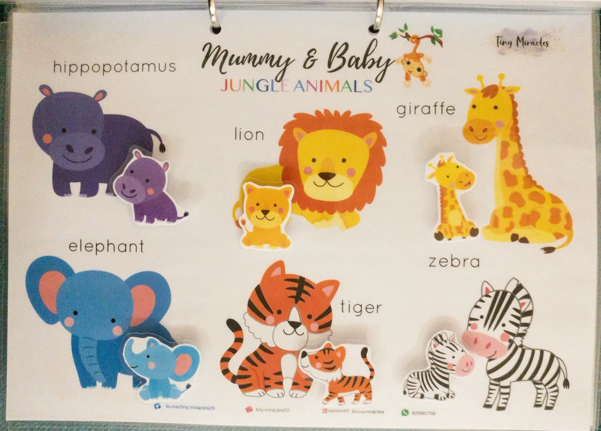 Set of jungle animal stickers including hippopotamus, giraffe, lion, elephant, zebra, and tiger on a white background.