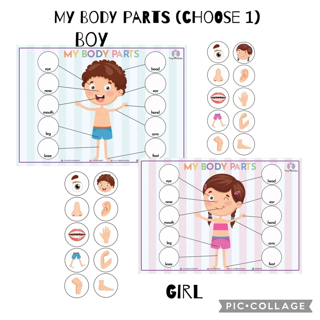 Educational chart for children to learn about body parts, featuring illustrations of a boy or a girl.