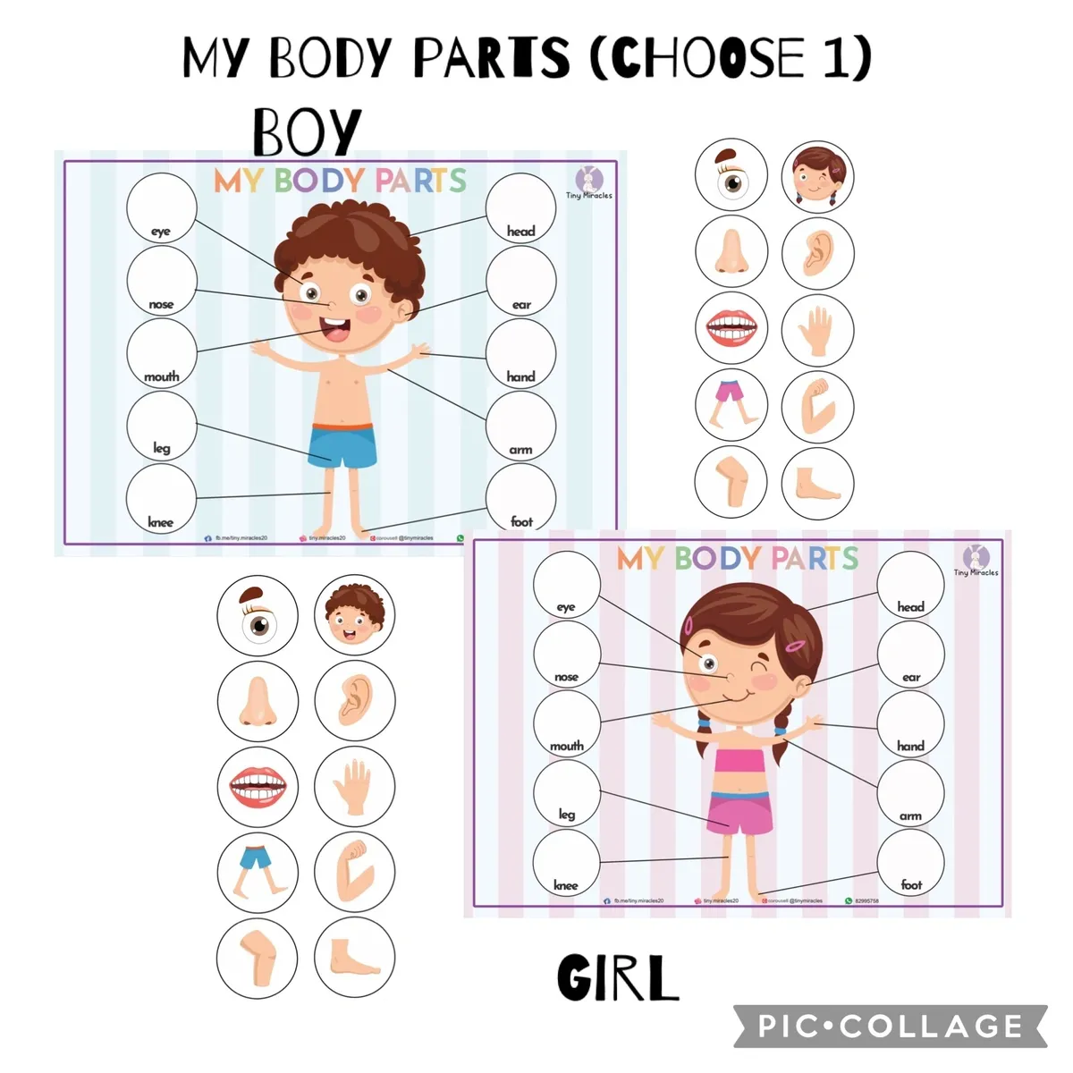Educational chart for children to learn about body parts, featuring illustrations of a boy or a girl.