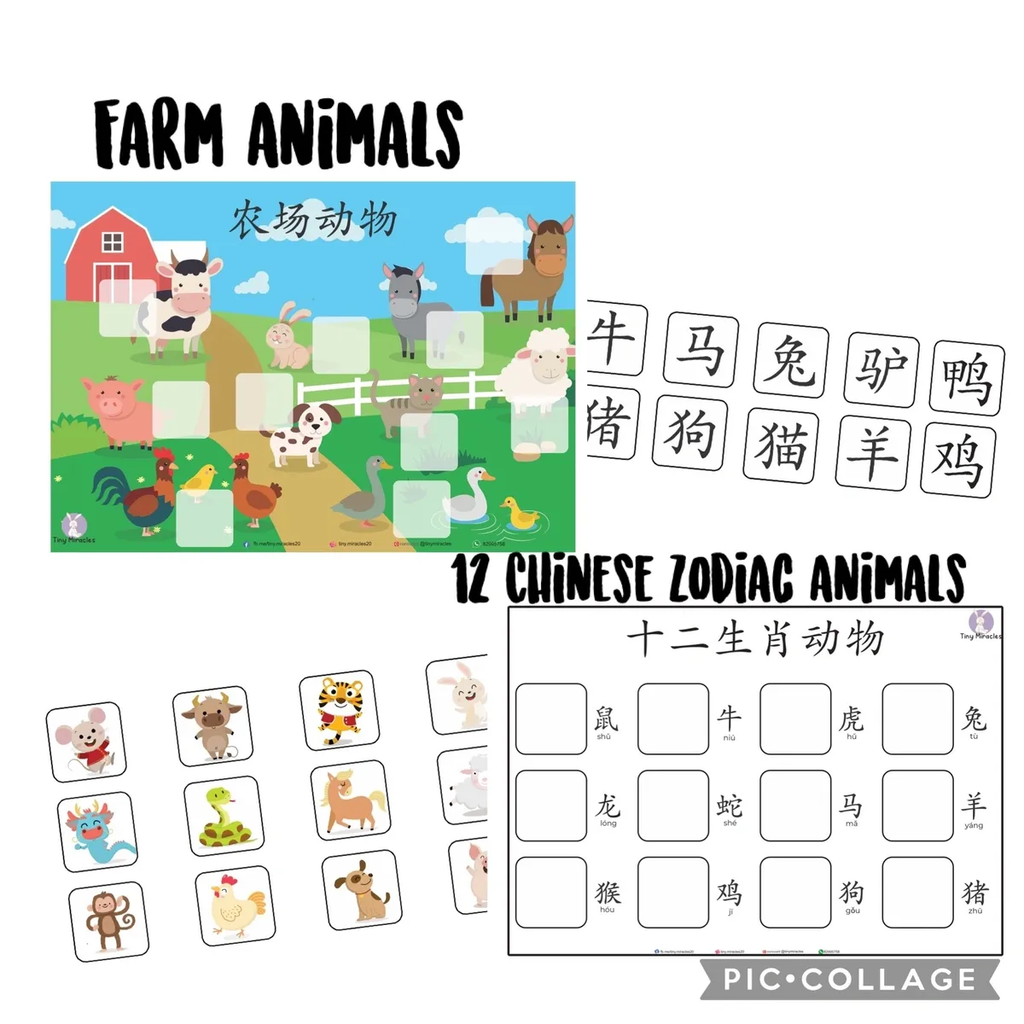 Chinese Educational material about farm animals and Chinese zodiac animals with illustrations and text.