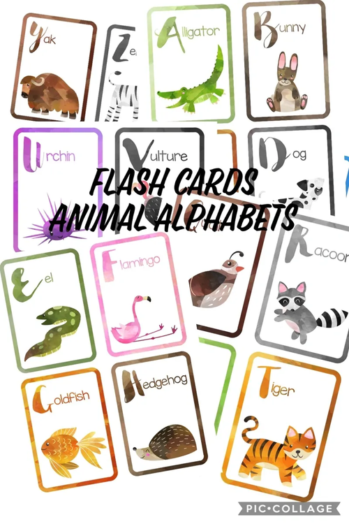 ABC Flash Cards – Fun & Educational Alphabet Learning for Kids