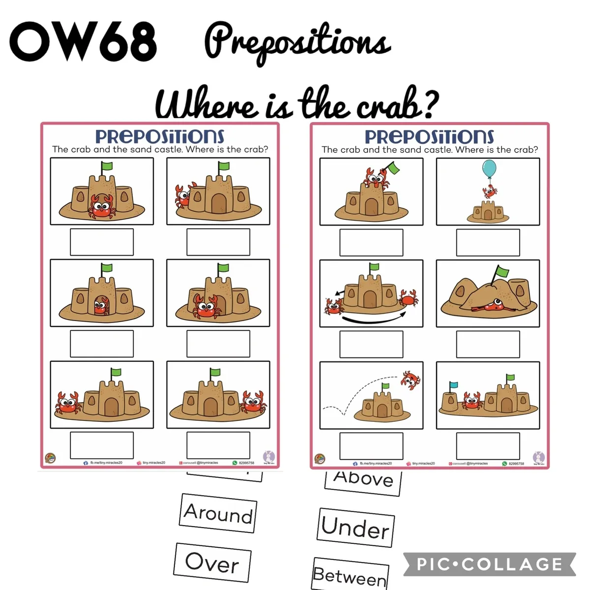 Prepositions – Where is the Crab? | 2-Page Language Activity (OW68)