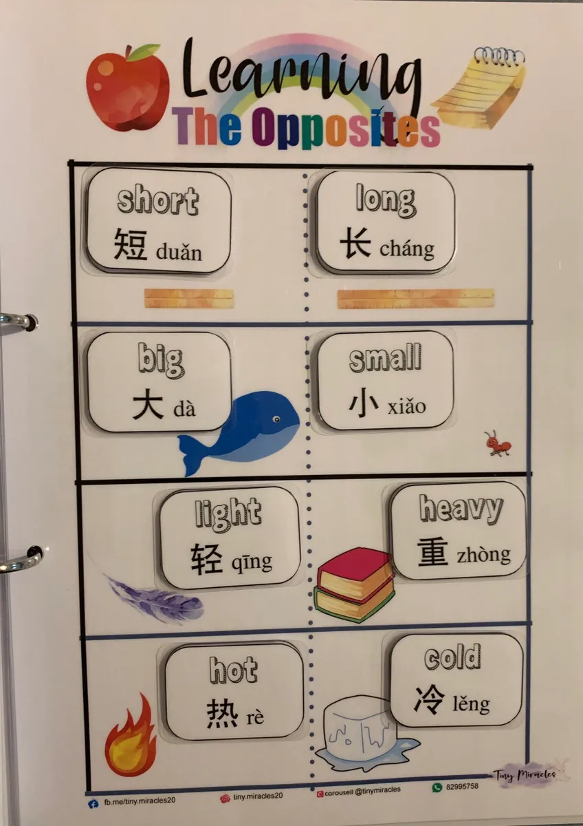 Learning The Opposites (English & Chinese)