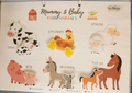 Educational chart with farm animals Mummy and Baby