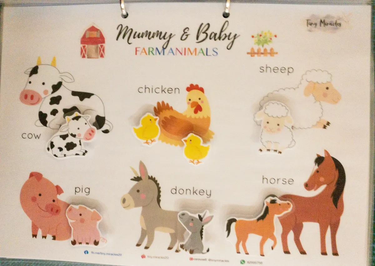 Educational chart with farm animals Mummy and Baby