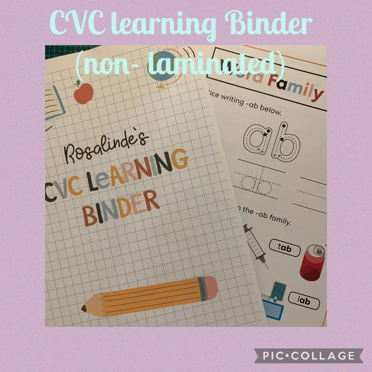 CVC Word Family Spin Wheel with Worksheet | Early Reading Phonics Activity