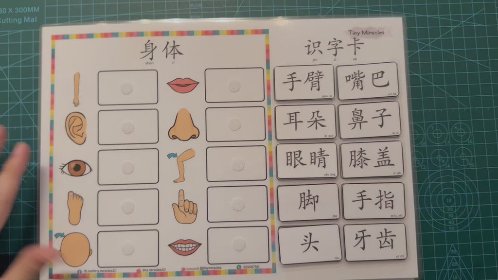 Recognising Chinese Characters by Word Matching | 汉语文学词匹配