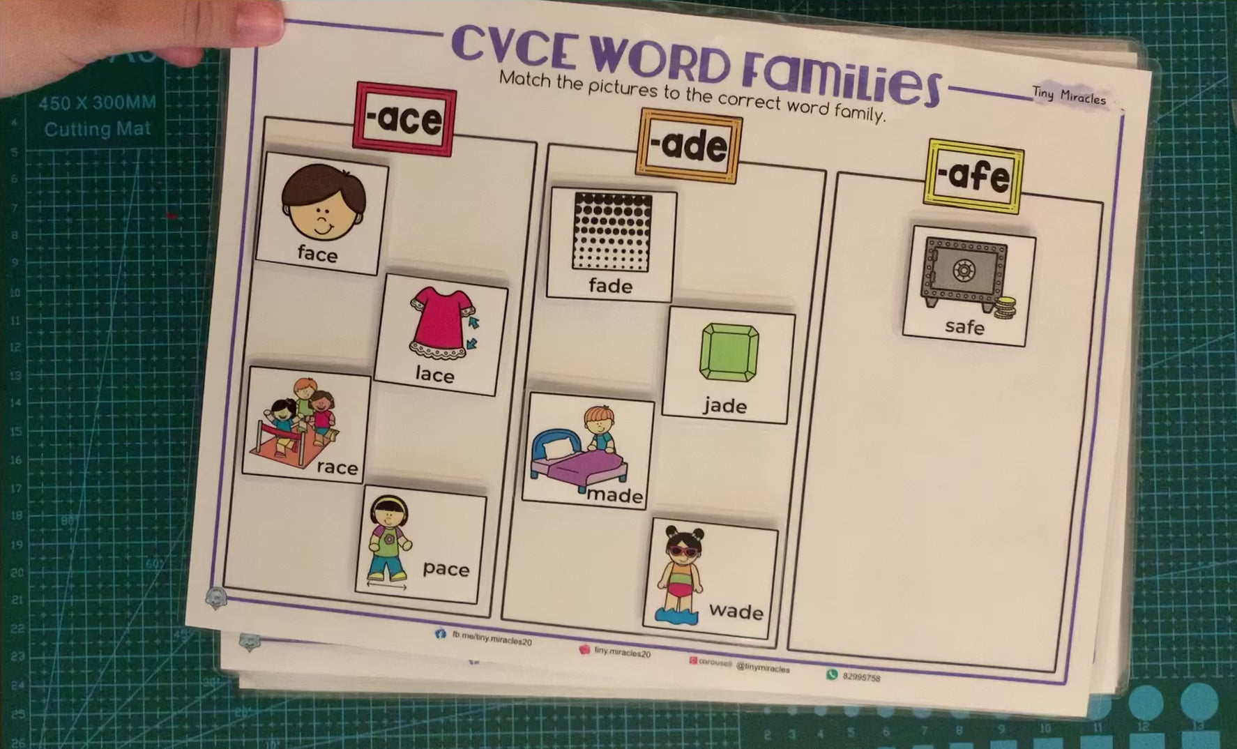 CVCe Word Families Picture and Word Match