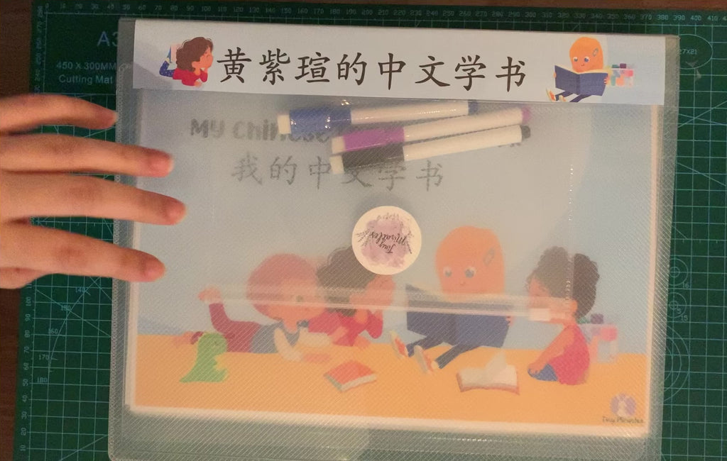 Video of My Chinese Learning Book