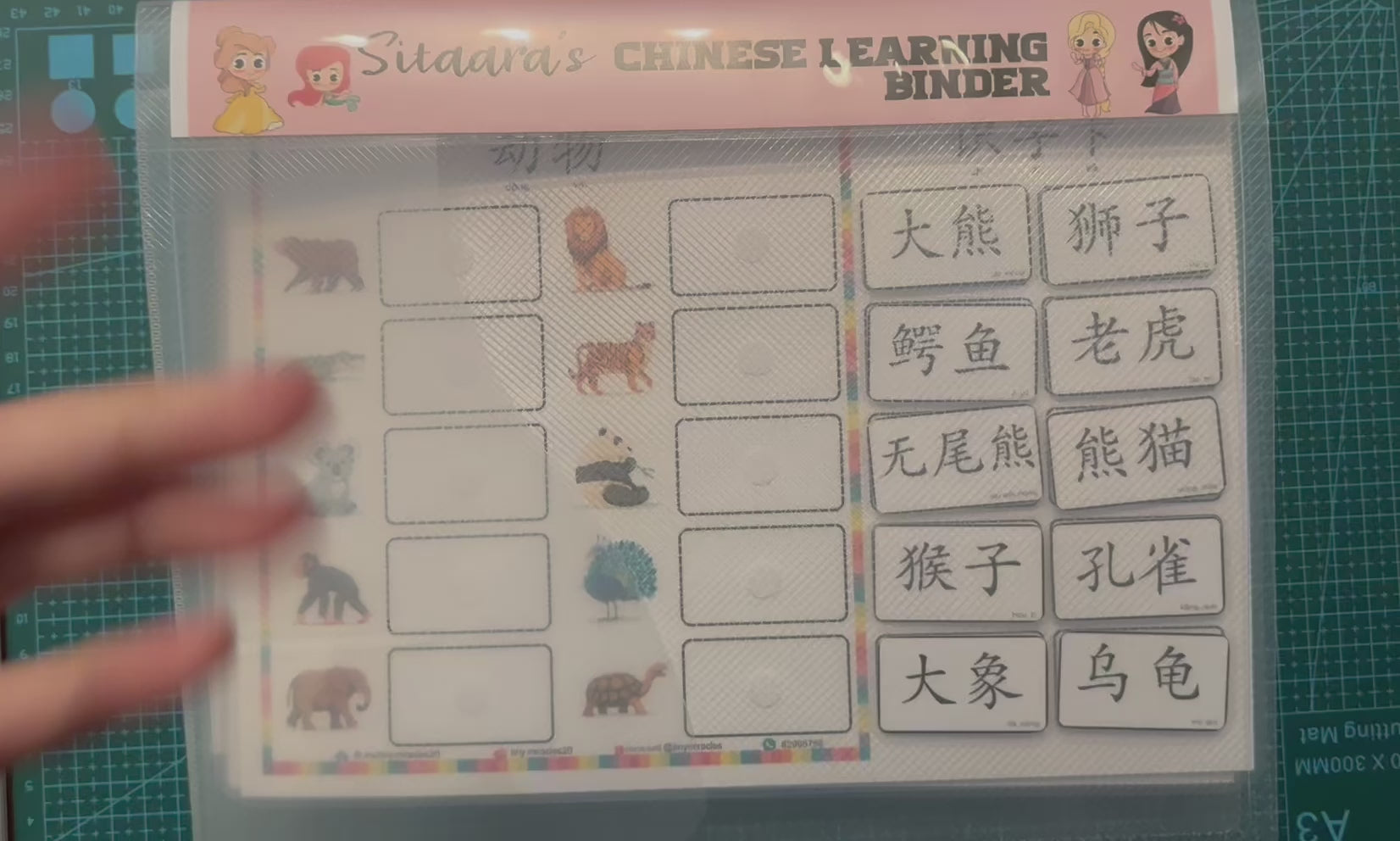 Recognising Chinese Characters by Word Matching | 汉语文学词匹配