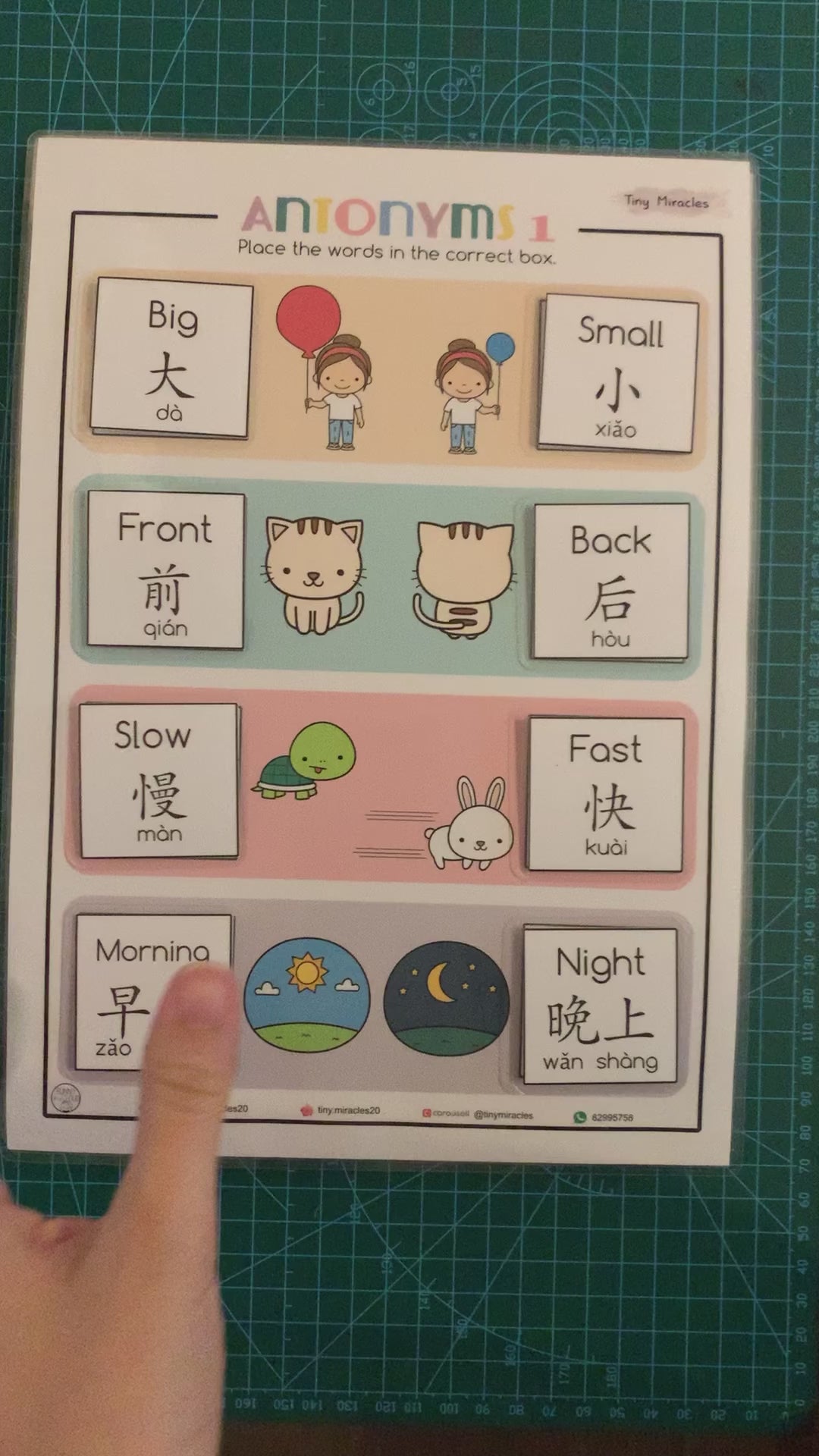 Antonyms - Learning Opposites (Eng & Chi) Activity Book