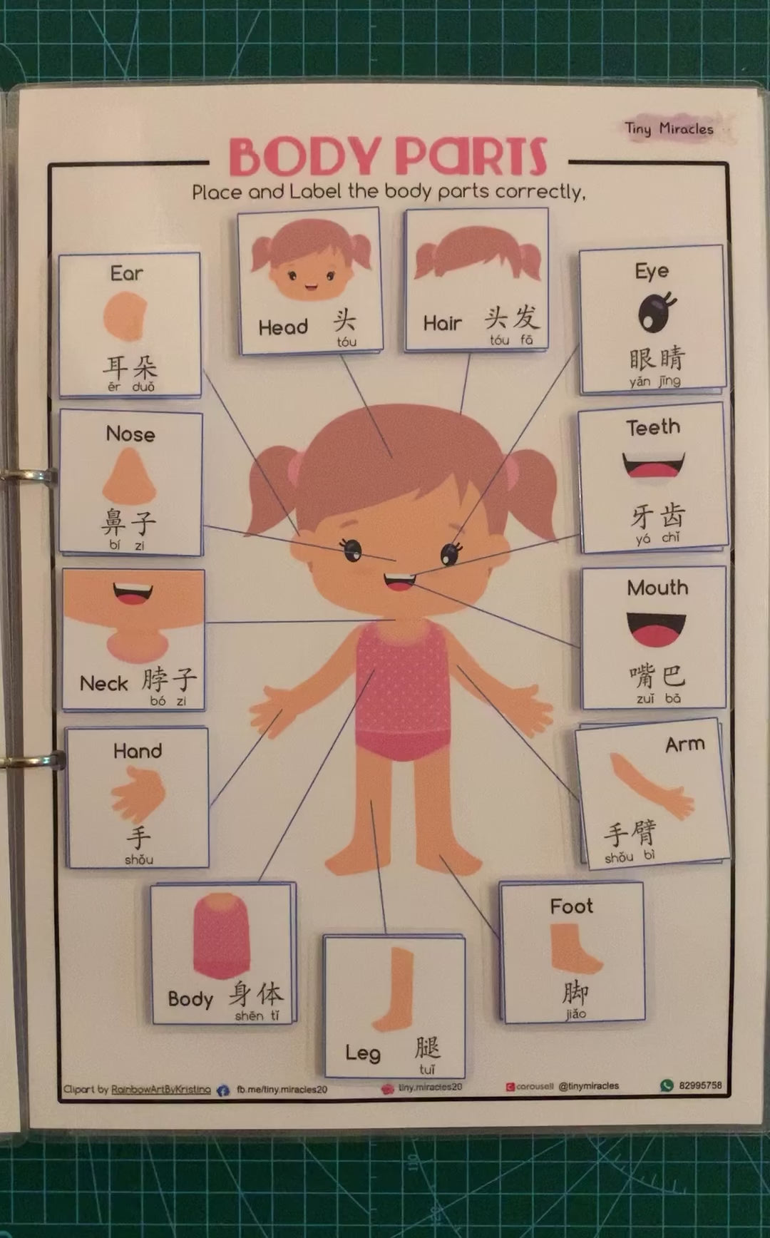 Human Anatomy Quiet Book | Body Parts, Organs & Skeleton for Kids