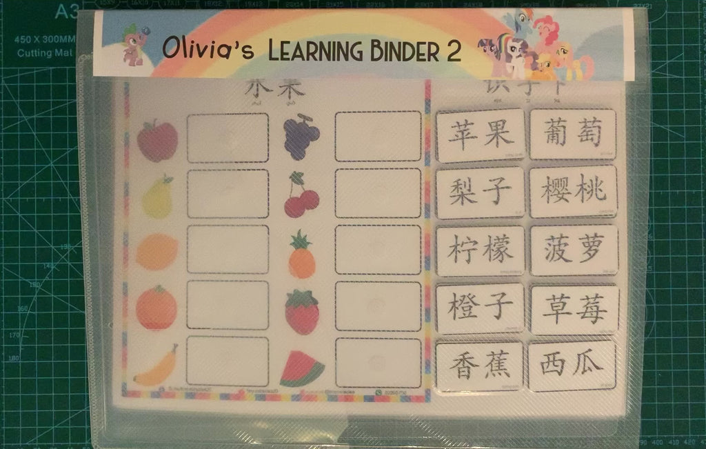 Recognising Chinese Characters by Word Matching | 汉语文学词匹配
