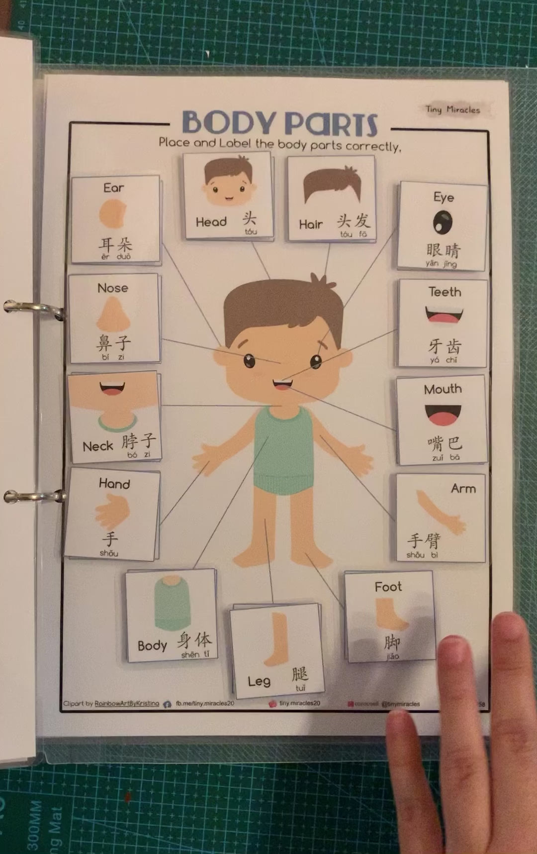 Human Anatomy Quiet Book | Body Parts, Organs & Skeleton for Kids
