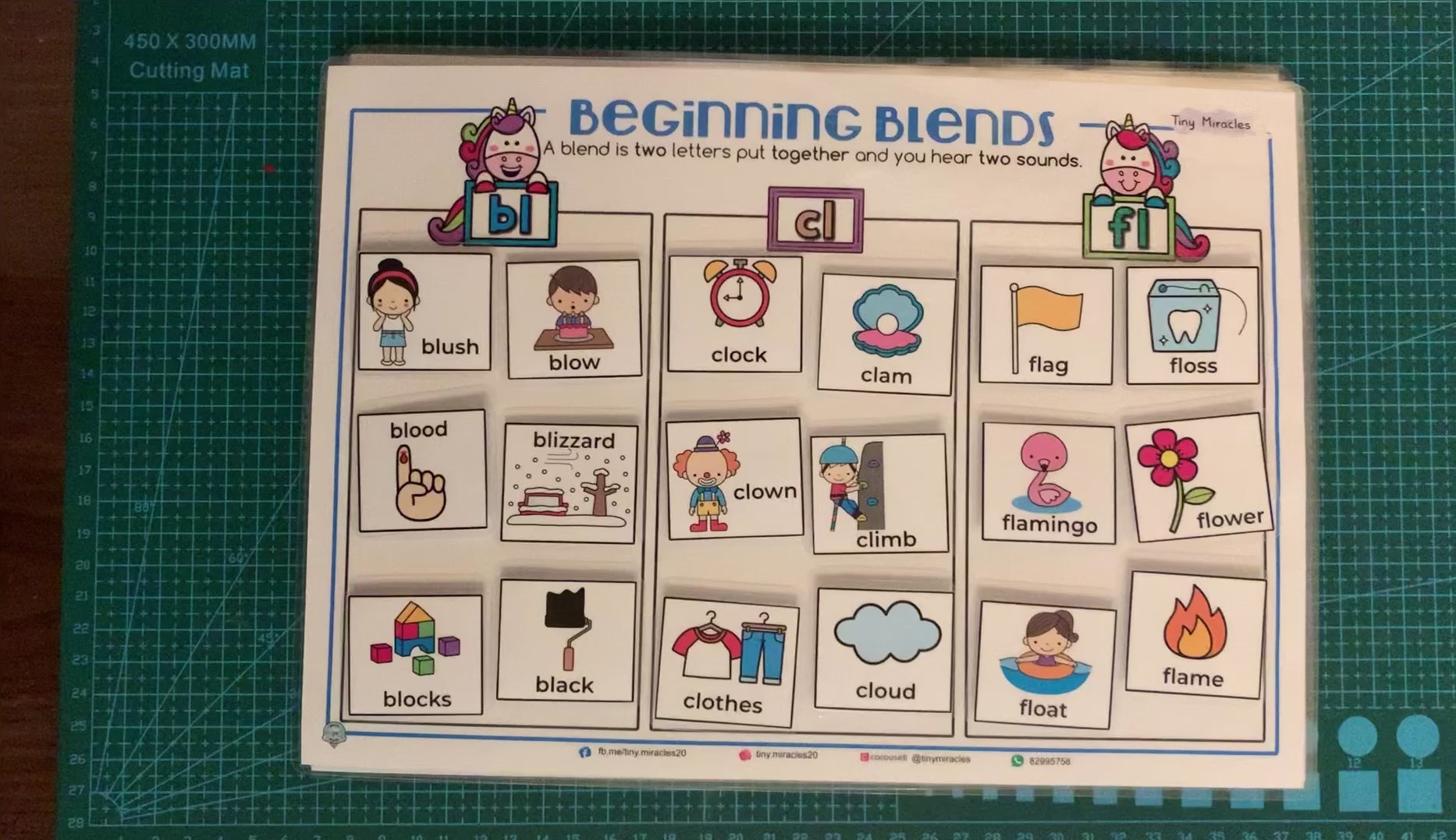 Beginning Blend Picture Word Match (OW60C)