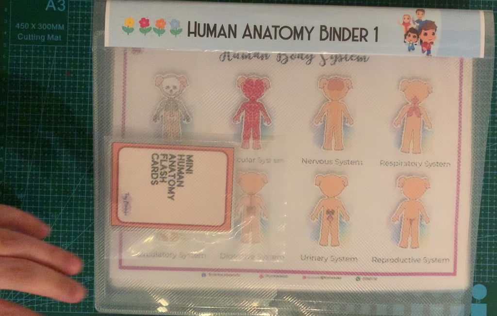 Sample Video of a Human Anatomy Binder