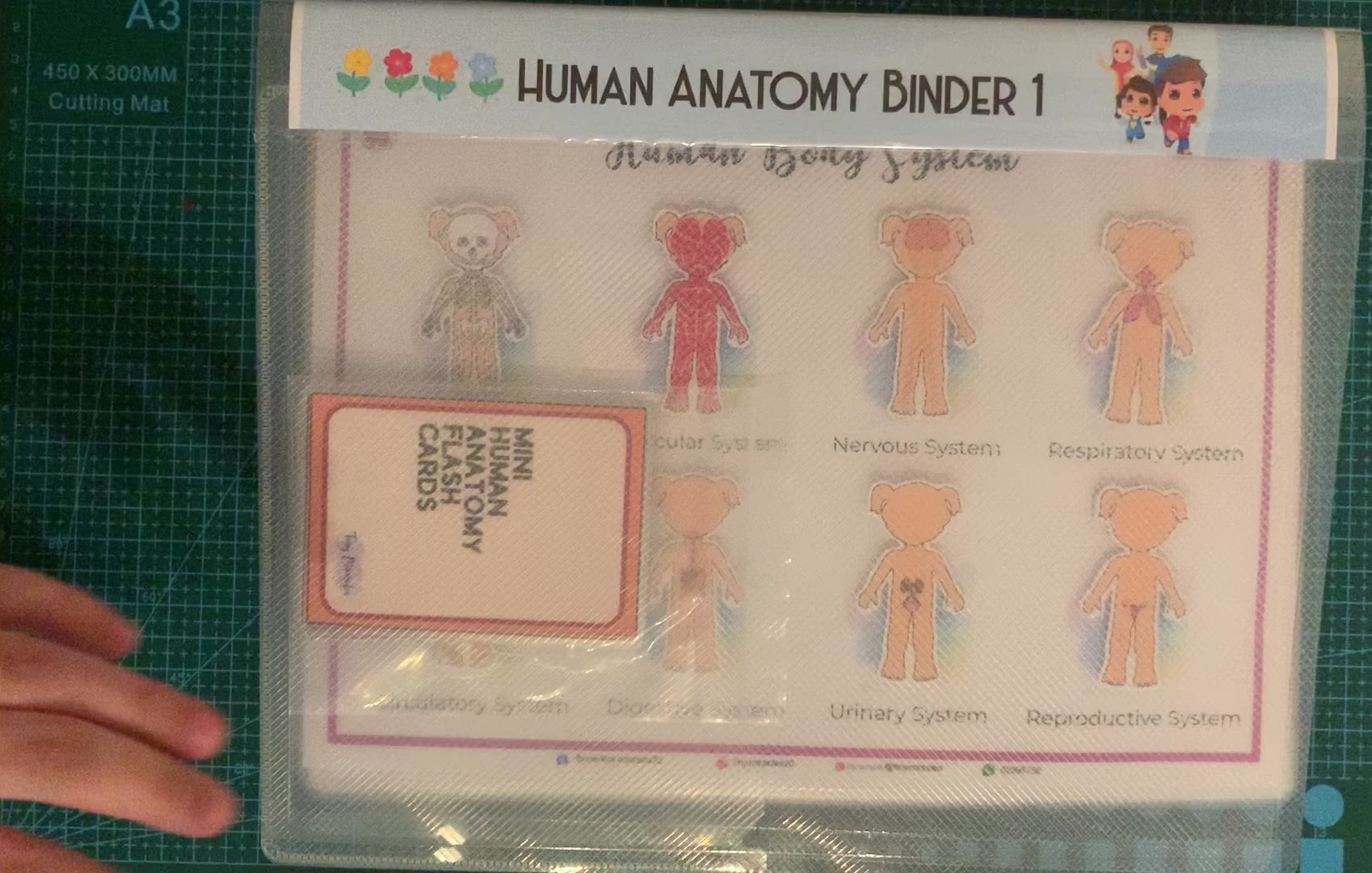 Sample Video of a Human Anatomy Binder